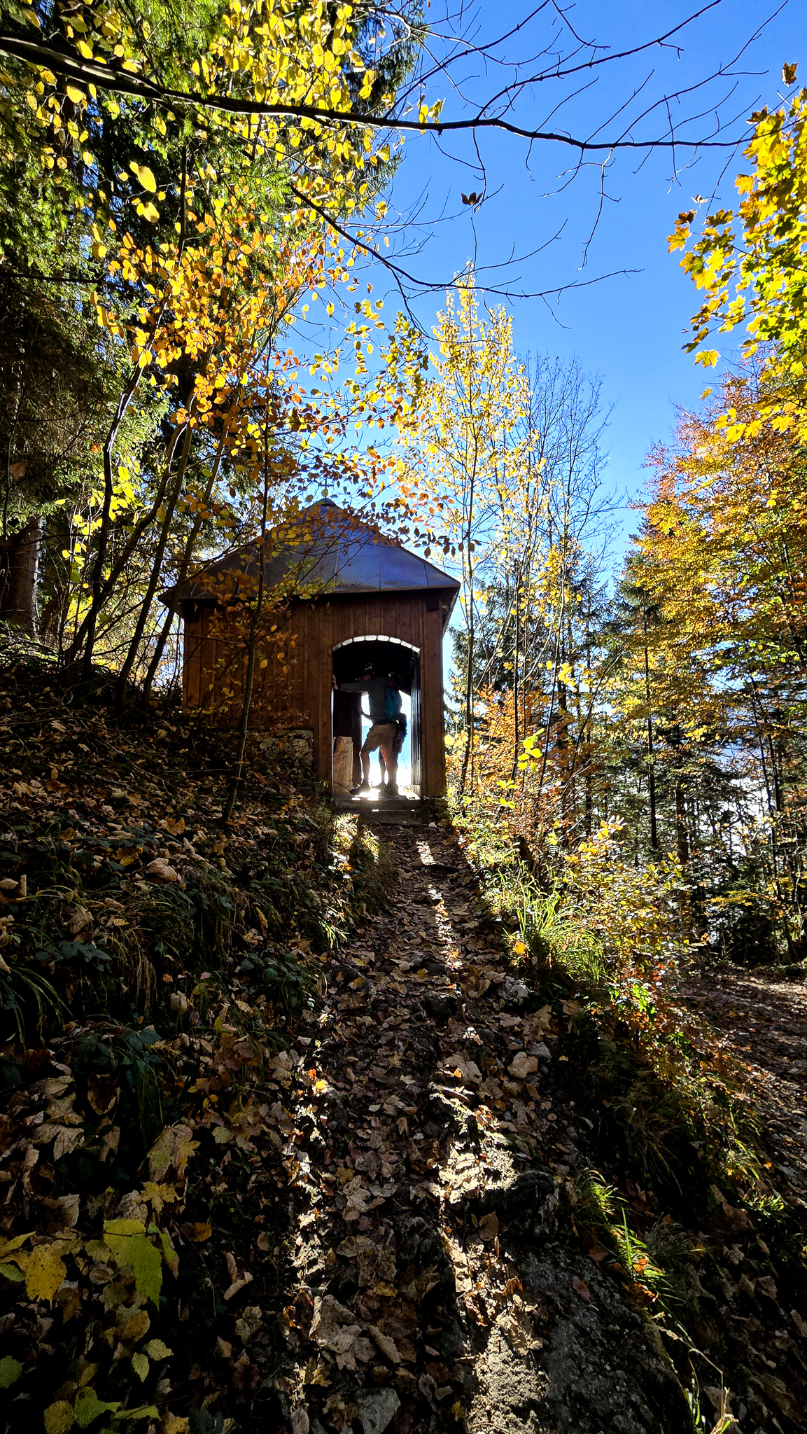Eine kleine Holzbr&uuml;cke in einem herbstlichen Wald w&auml;hrend des Wolfgangi-Kirtags, Sonnenlicht, das durch die B&auml;ume scheint.