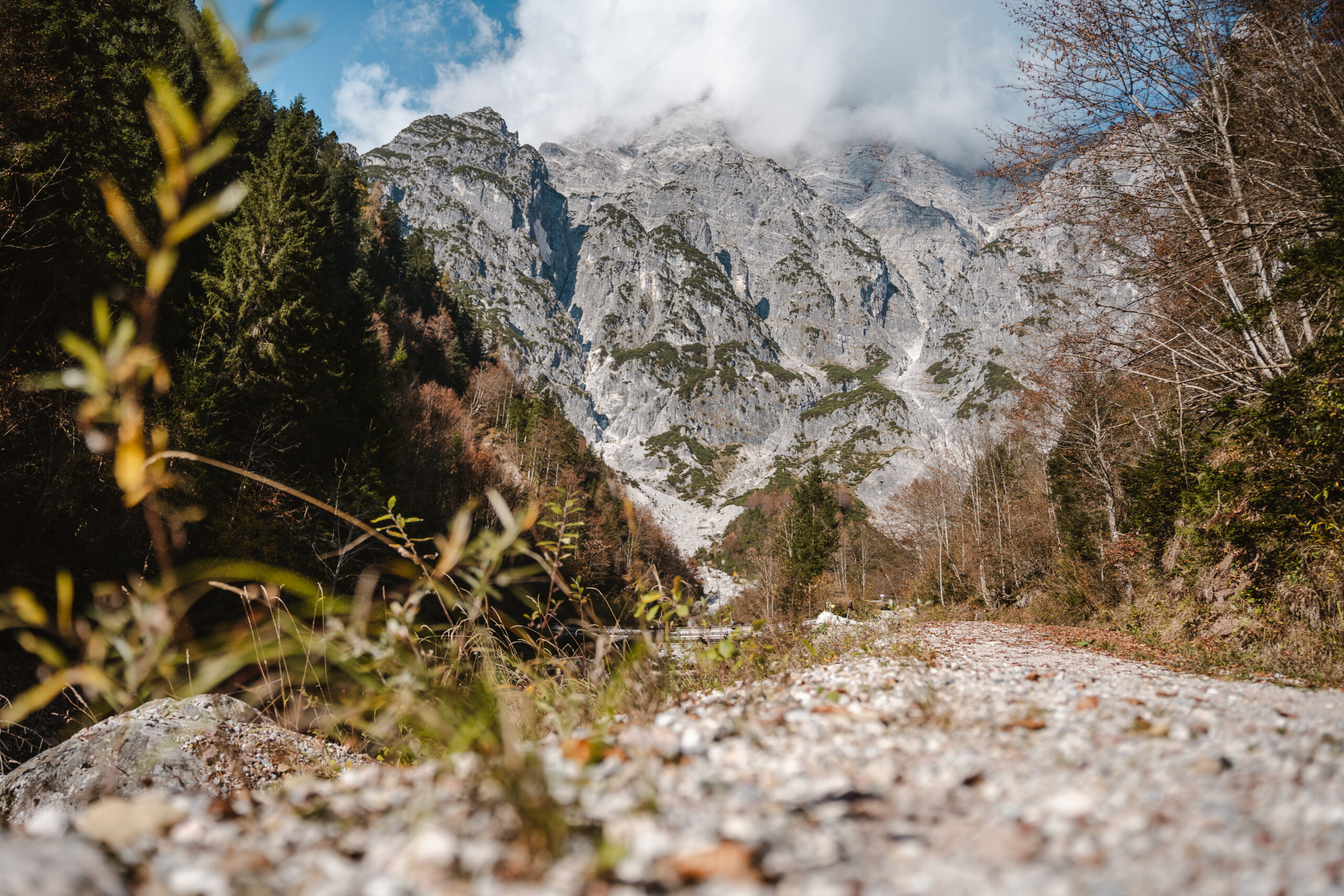 Ein Schotterweg führt durch die herbstliche Landschaft auf einen felsigen Berggipfel zu, der teilweise von Wolken verdeckt ist.