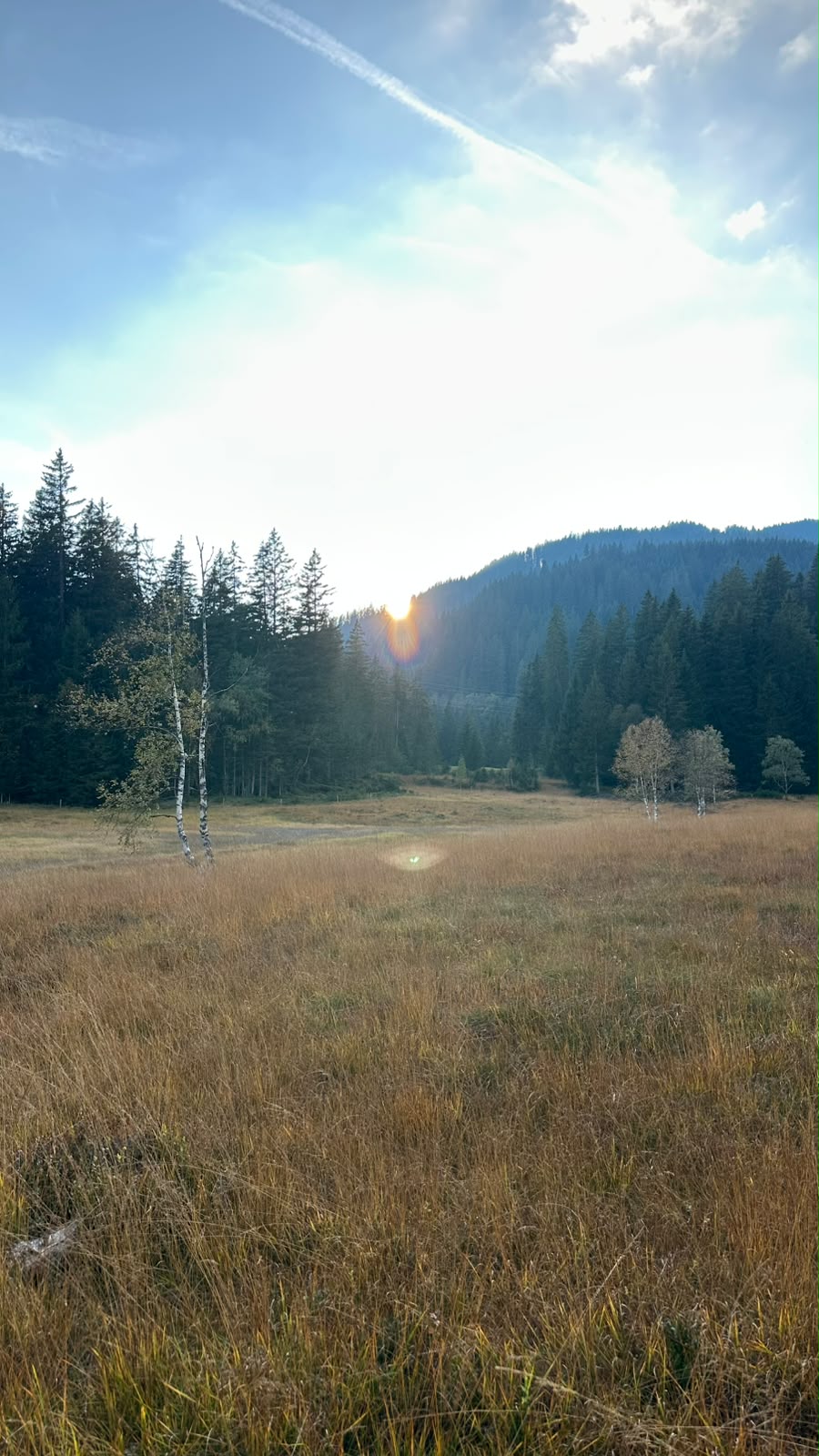 Sonnenlicht bricht über einem bewaldeten Berg oberhalb einer Almwiese hervor.