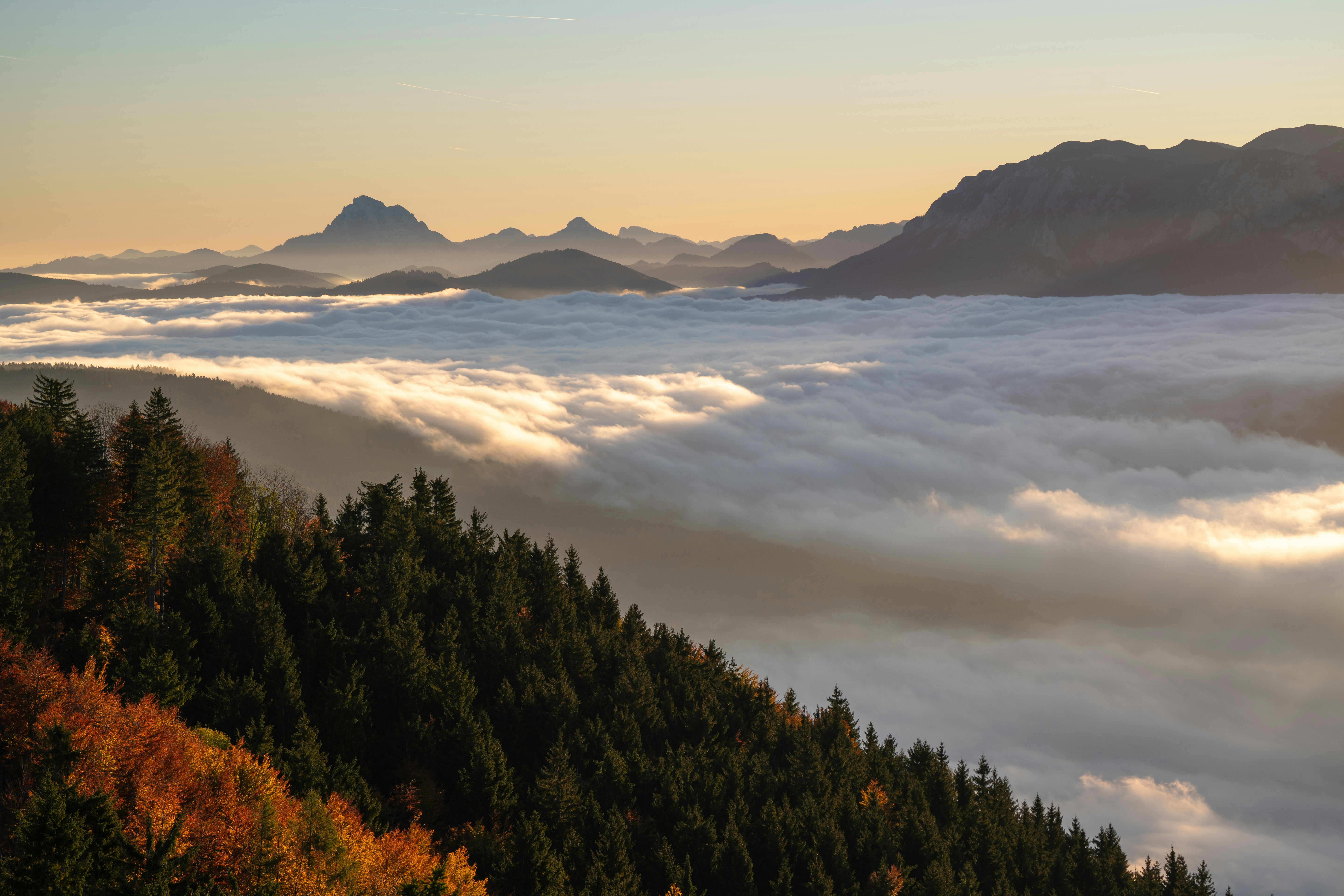 Bei Sonnenaufgang bedeckt eine dichte Wolkendecke ein Tal zwischen bewaldeten Berghängen.