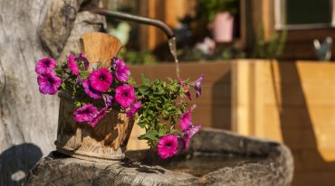 Brunnen am Bauernhof