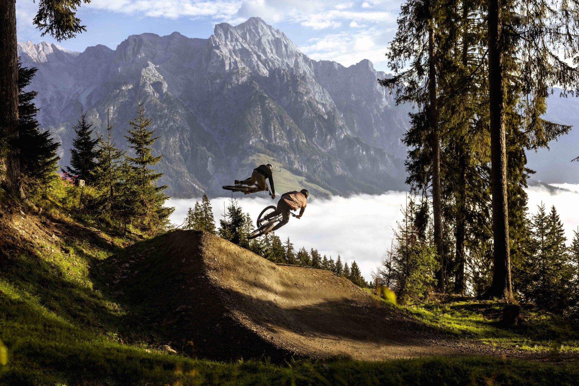 stereo hybrid 140 hpc slt 750 Cube Stereo Hybrid 140 SLT 750 29 inch E-Mountainbike  H&B Exclusive