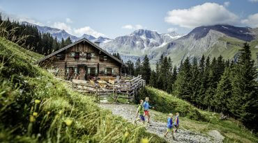 Mitterastenalm Rauris, Hauptsujet Wald