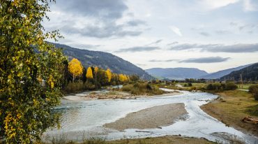 Herbstlandschaft mit bunten Bäume am Fluss