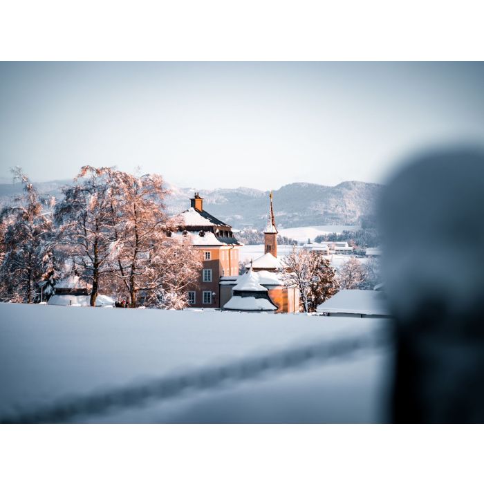 Alpakawanderung durch die Winterlandschaft