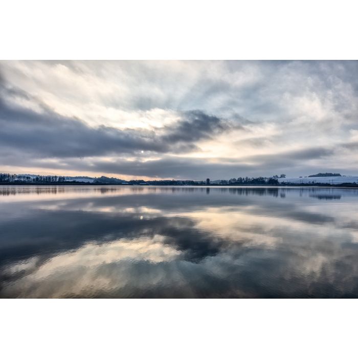 Alpakawanderung durch die Winterlandschaft