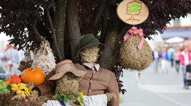 Bauernherbsteröffnung