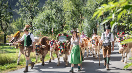 Bauernherbst im Hotel Alpina in Rauris