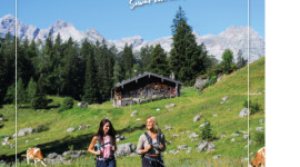 Almliesl - Hütten und Ferienhäuser