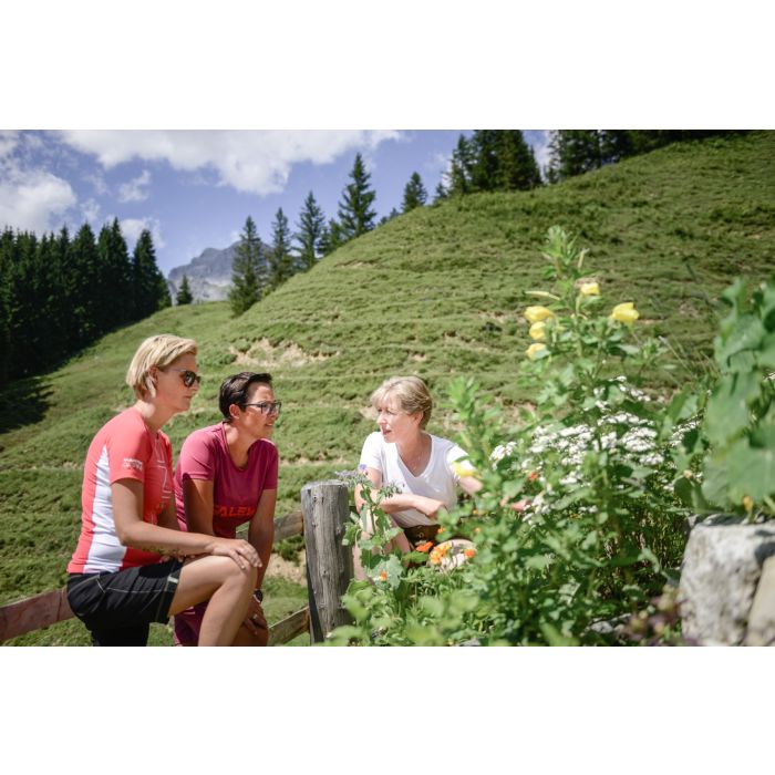 Kräuterwandern