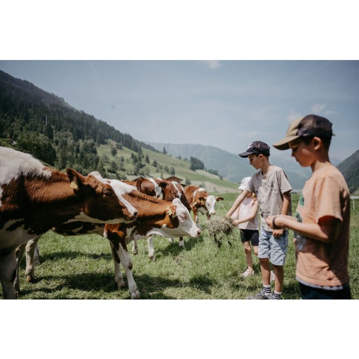 Deine Bauernhofauszeit im SalzburgerLand