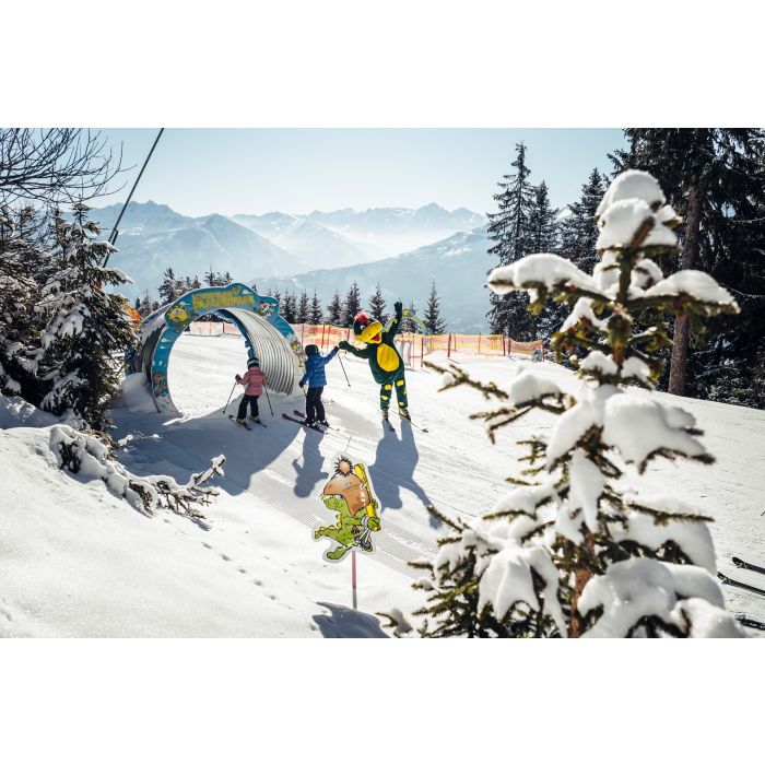 Skispass in Zell am See-Kaprun mit den Öffis