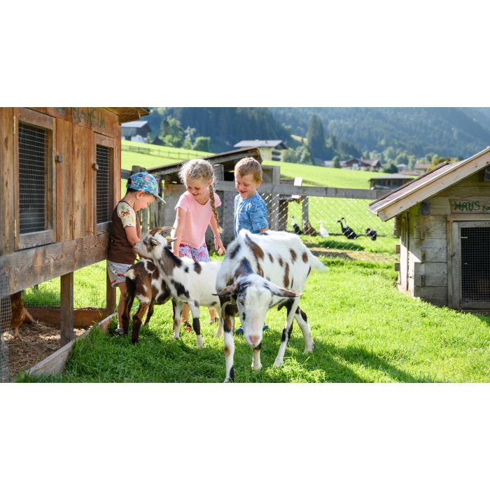 Deine Bauernhofauszeit im SalzburgerLand