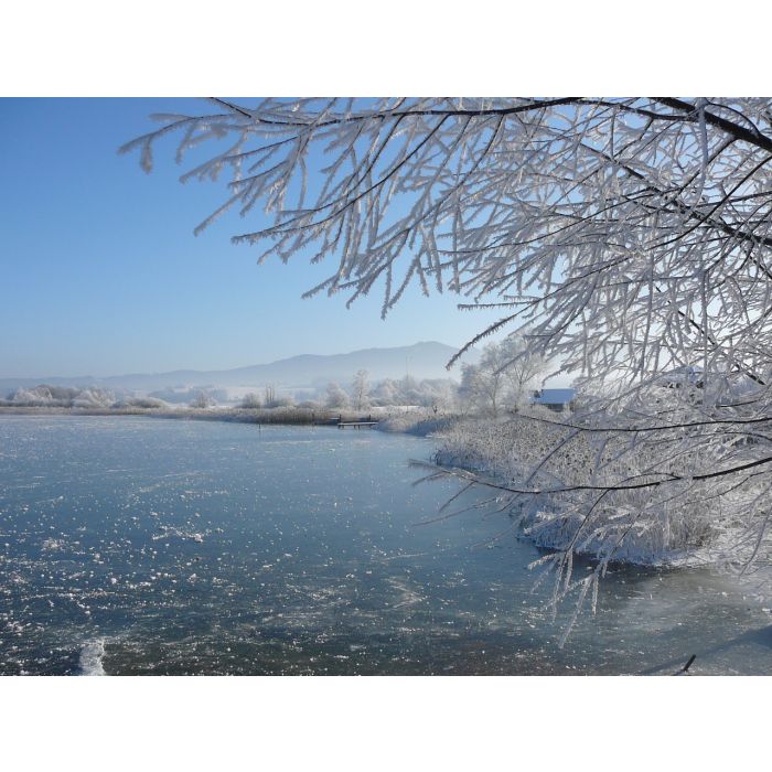 Alpakawanderung durch die Winterlandschaft
