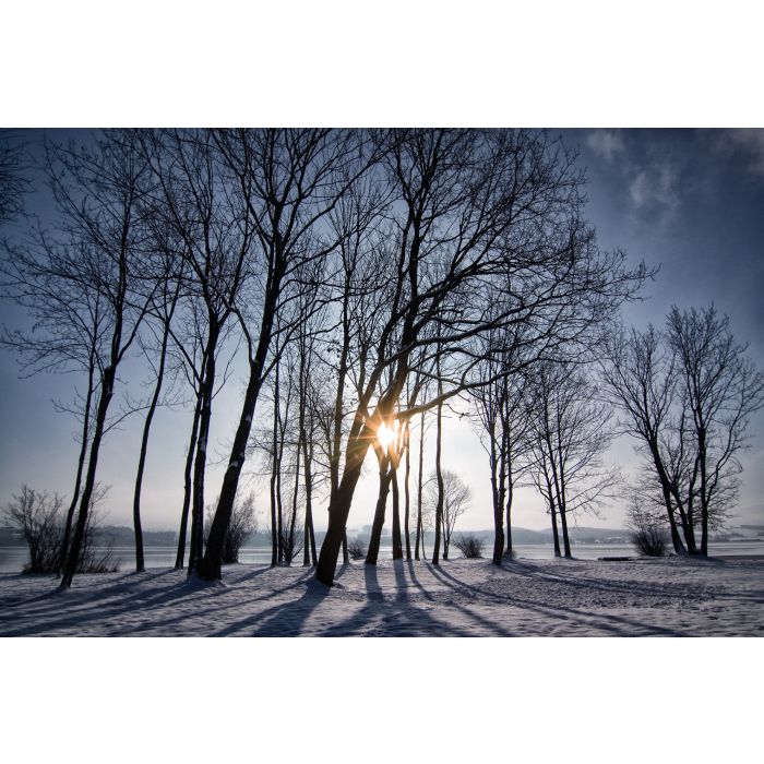 Alpakawanderung durch die Winterlandschaft
